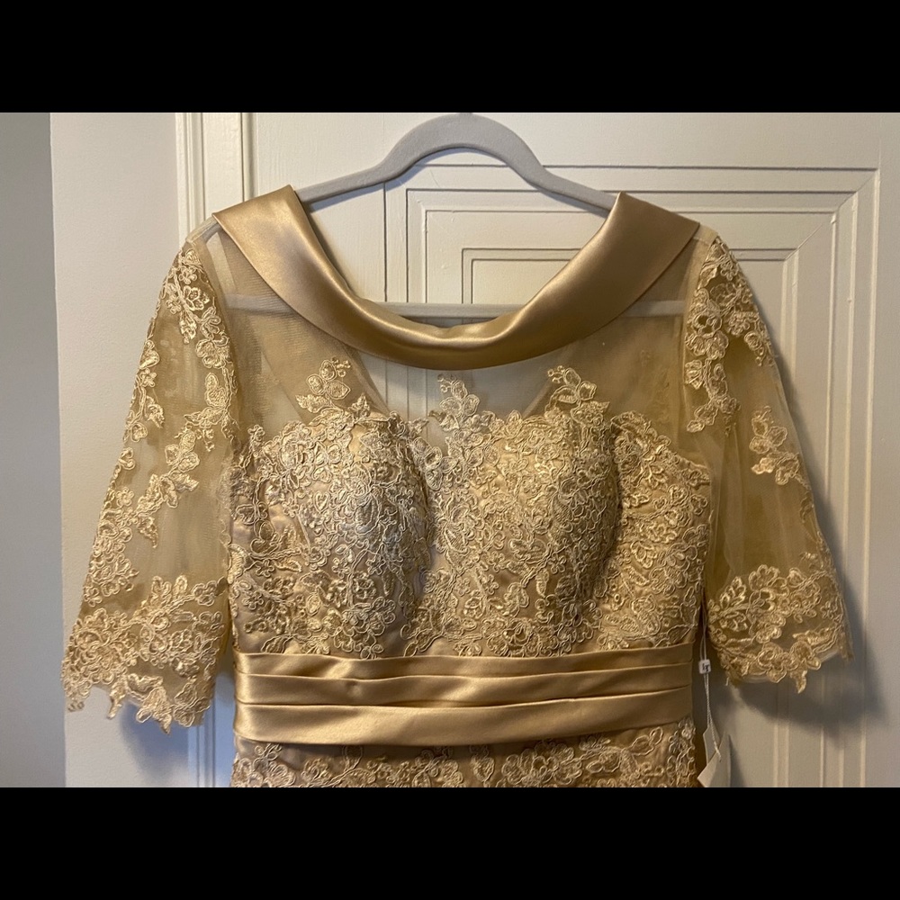 Beautiful Champagne colored Lace and satin dress - Picture 6 of 6
